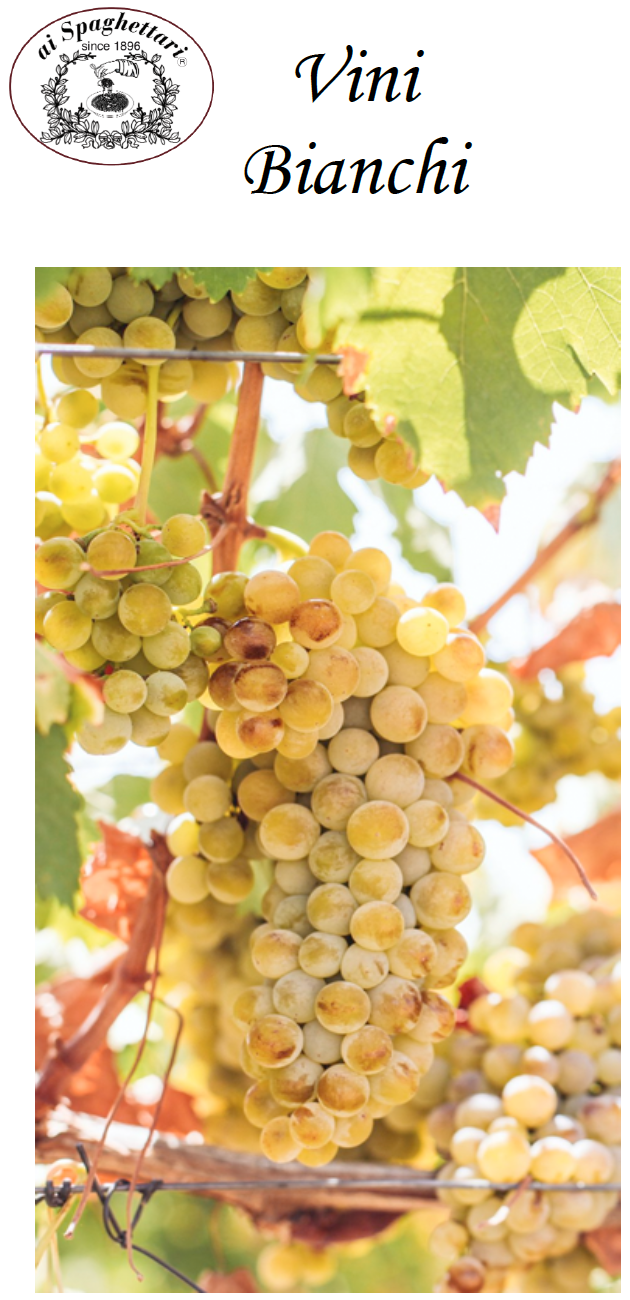 vino in bottiglia - Lazio